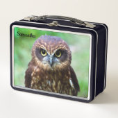 Little Brown Uil Metal Lunchbox (Voorkant)