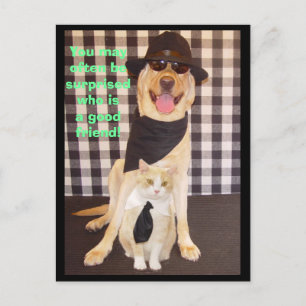 Little Buddy Briefkaart