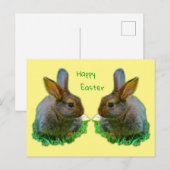 Little Bunny Briefkaart (Voorkant / Achterkant)