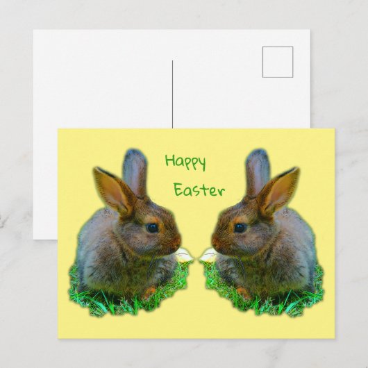 Little Bunny Briefkaart (Voorkant / Achterkant)