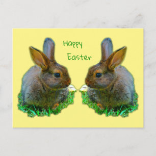 Little Bunny Briefkaart