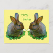 Little Bunny Briefkaart (Voorkant)