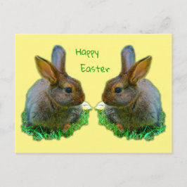 Little Bunny Briefkaart