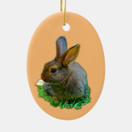 Little Bunny - easter bunny Keramisch Ornament (Achterkant)