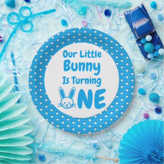 Little Bunny First Birthday Papieren Bordje (Feest)