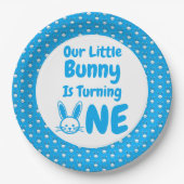 Little Bunny First Birthday Papieren Bordje (Voorkant)