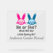 Little Bunny Gender onthulling Acryl Bord (Voorkant)