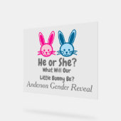 Little Bunny Gender onthulling Acryl Bord (Hoek)