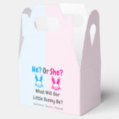 Little Bunny Gender onthulling Bedankdoosjes (Geopend)