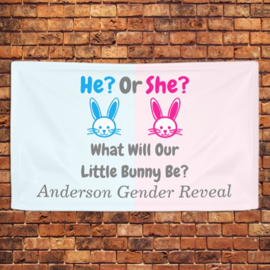 Little Bunny Gender onthulling Spandoek
