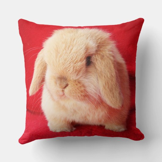 Little Bunny Pillow Kussen (Achterkant)