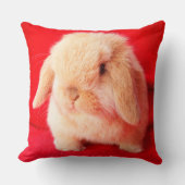 Little Bunny Pillow Kussen (Voorkant)