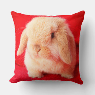 Little Bunny Pillow Kussen