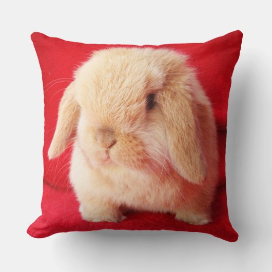 Little Bunny Pillow Kussen (Voorkant)