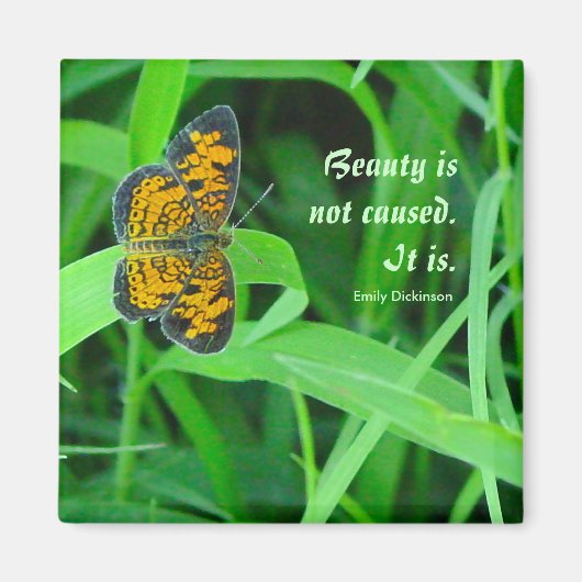 Little Butterfly Magnet (Voorkant)