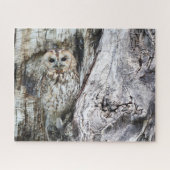 Little Camouflage Owl in Tree Legpuzzel (Horizontaal)