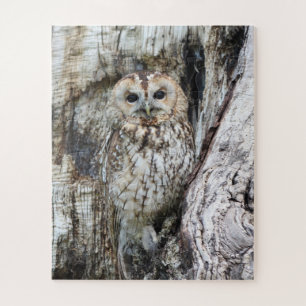 Little Camouflage Owl in Tree Legpuzzel