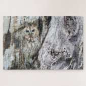 Little Camouflage Owl in Tree Legpuzzel (Horizontaal)