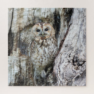 Little Camouflage Owl in Tree Legpuzzel