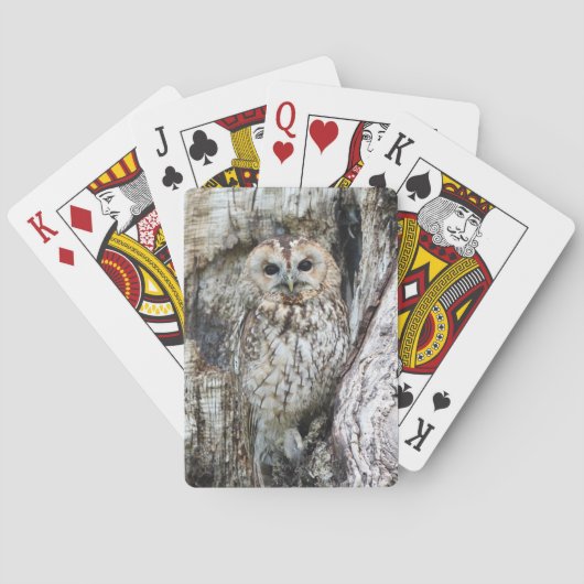 Little Camouflage Owl in Tree Pokerkaarten (Achterkant)