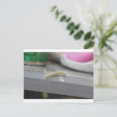Little Caterstone Briefkaart (Staand voorkant)