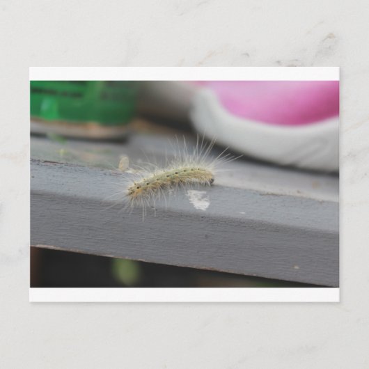 Little Caterstone Briefkaart (Voorkant)