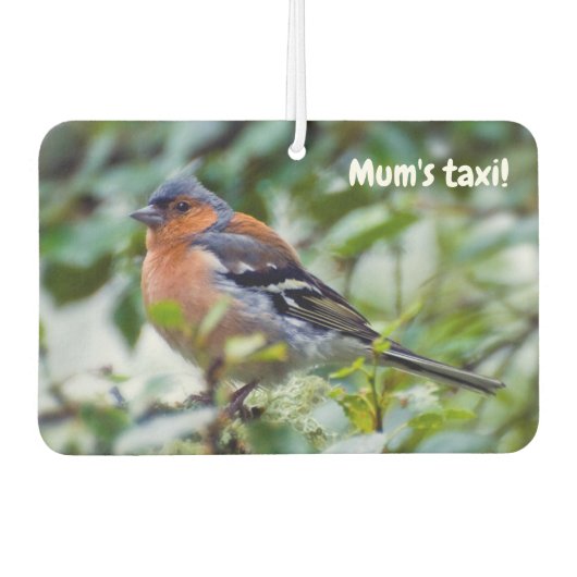 Little Chaffinch Auto luchtverfrisser (Voorkant)