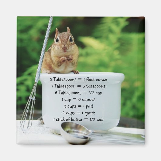 Little Chef Chipmunk Meting Equivalenten Magneet (Voorkant)
