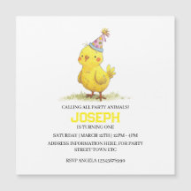 Little Chick Boerderij Birthday Chicken