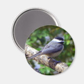 Little Chickadee Magneet (Voorkant / Achterkant)