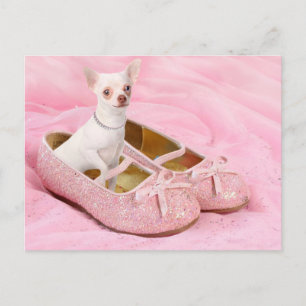 Little chihuahua in pink girly shoes with glitter briefkaart