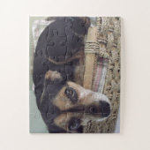 Little Chihuahua Legpuzzel (Verticaal)