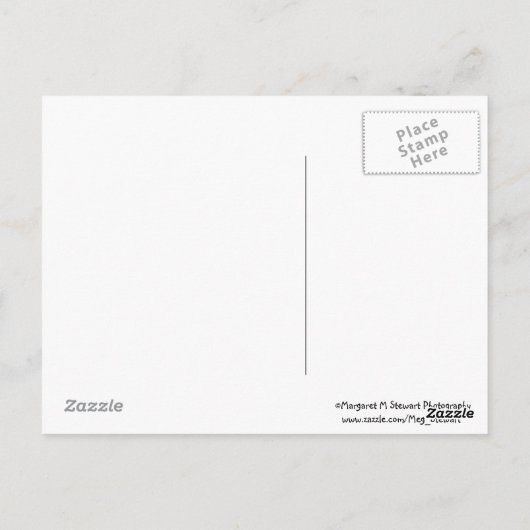 Little Chipmunk Serenity Prayer Briefkaart (Achterkant)