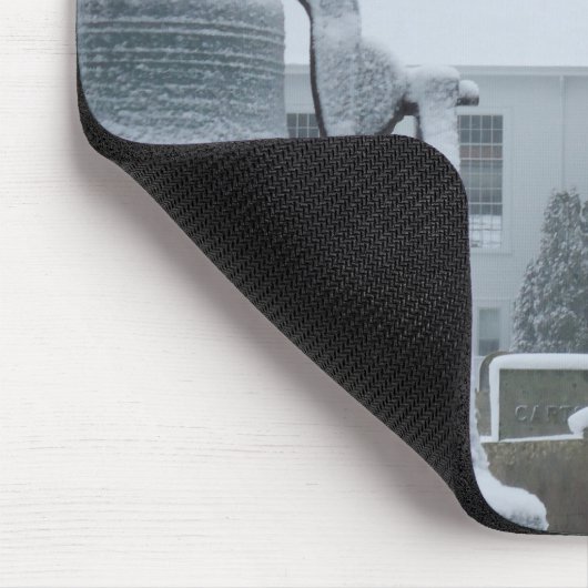 Little Compton, RI Commons Muismat (Hoek)