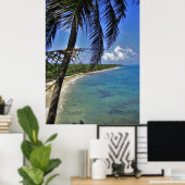 Little Corn Island Poster (Thuiskantoor)