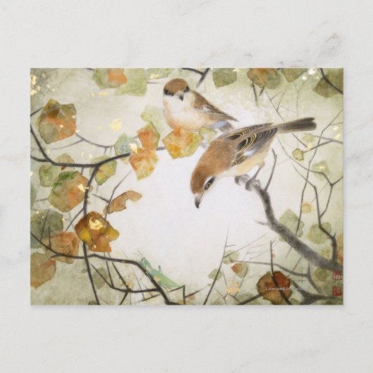 Little Creature-Bull-kopse Shrikes Briefkaart (Voorkant)