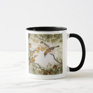 Little Creature-Bull-kopse Shrikes Mok
