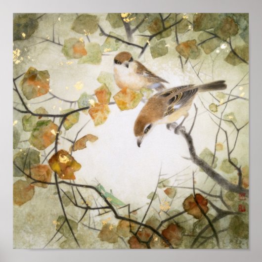 Little Creature-Bull-kopse Shrikes Poster (Voorkant)