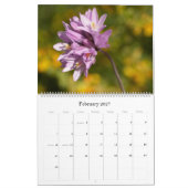 Little Critters 2014 Calendar Kalender (Feb 2027)