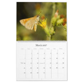 Little Critters 2014 Calendar Kalender (Mar 2027)