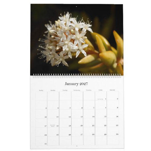 Little Critters 2014 Calendar Kalender (Jan 2027)
