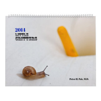 Little Critters 2014 Calendar Kalender