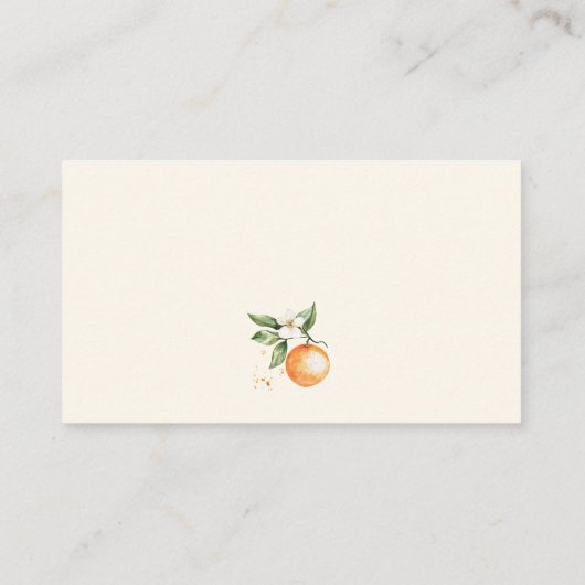 Little Cutie Citrus Baby Show Luier Raffle Informatiekaartje (Achterkant)