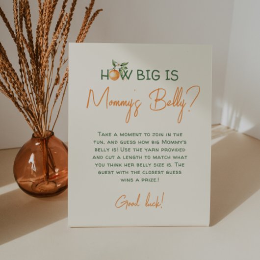 Little Cutie Citrus Hoe groot is de buik van mama Reclamebord Met Voetstuk