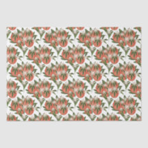 Little Cutie Clementine | Baby shower van citrusvr