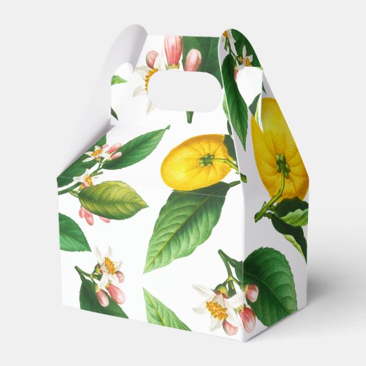 Little Cutie Lemon Citrus Summer Baby shower Bedankdoosjes (Achterkant)