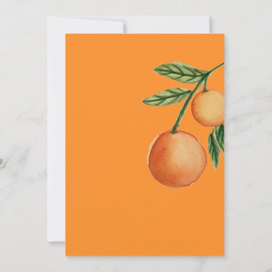 Little Cutie Sinaasappel Waterverf Citrus Baby sho Kaart (Achterkant)