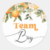 Little cutie Team jongen geslacht onthullen Ronde Sticker (Voorkant)