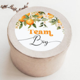 Little cutie Team jongen geslacht onthullen Ronde Sticker