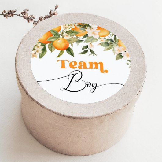 Little cutie Team jongen geslacht onthullen Ronde Sticker